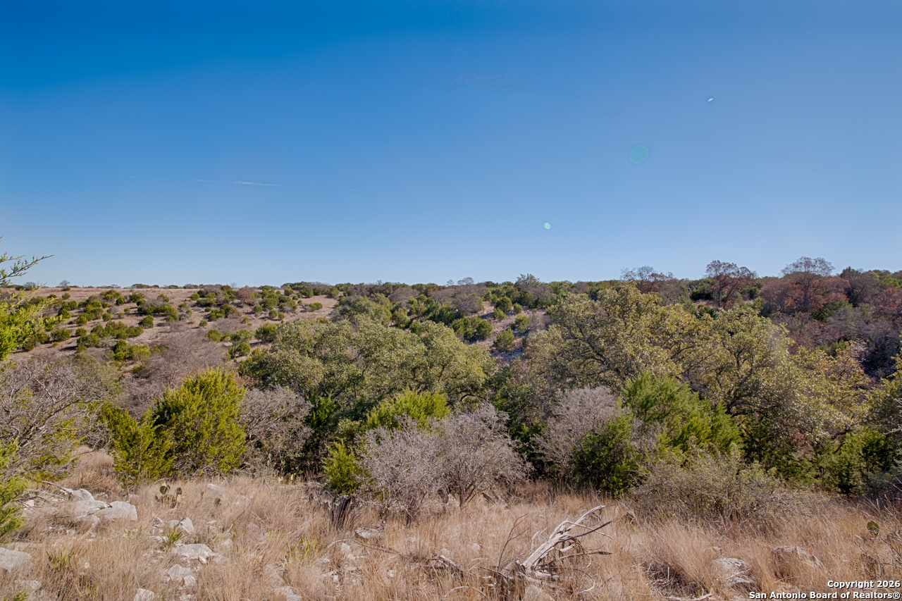 Lot 34 Spring Bluff Junction Junction, TX 76849 - Photo 11 of 16 a view of a dry yard with lots of trees