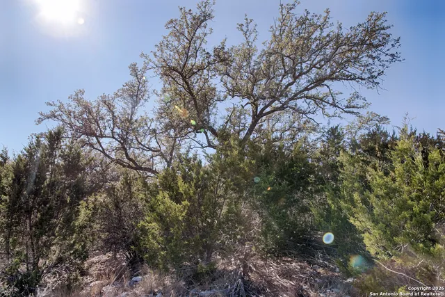 $295,000 | Lot 34 Spring Bluff Junction, Junction, TX 76849