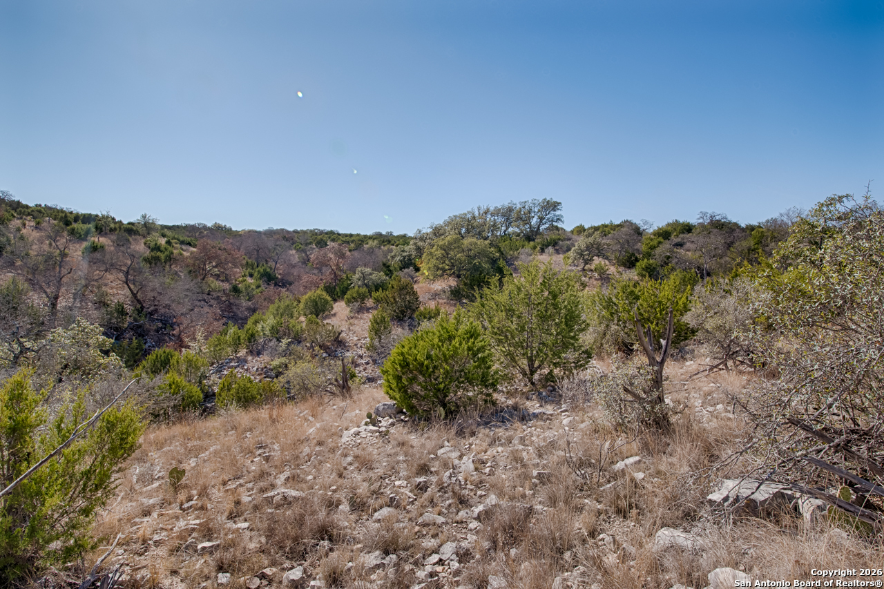 Lot 34 Spring Bluff Junction Junction, TX 76849 - Photo 13 of 16 a view of a yard with a tree in the background