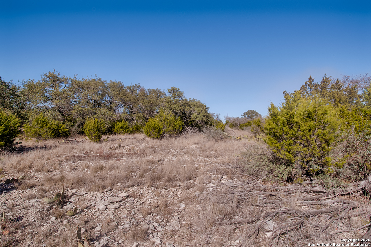 Lot 34 Spring Bluff Junction Junction, TX 76849 - Photo 16 of 16 a view of a dry yard with trees in the background