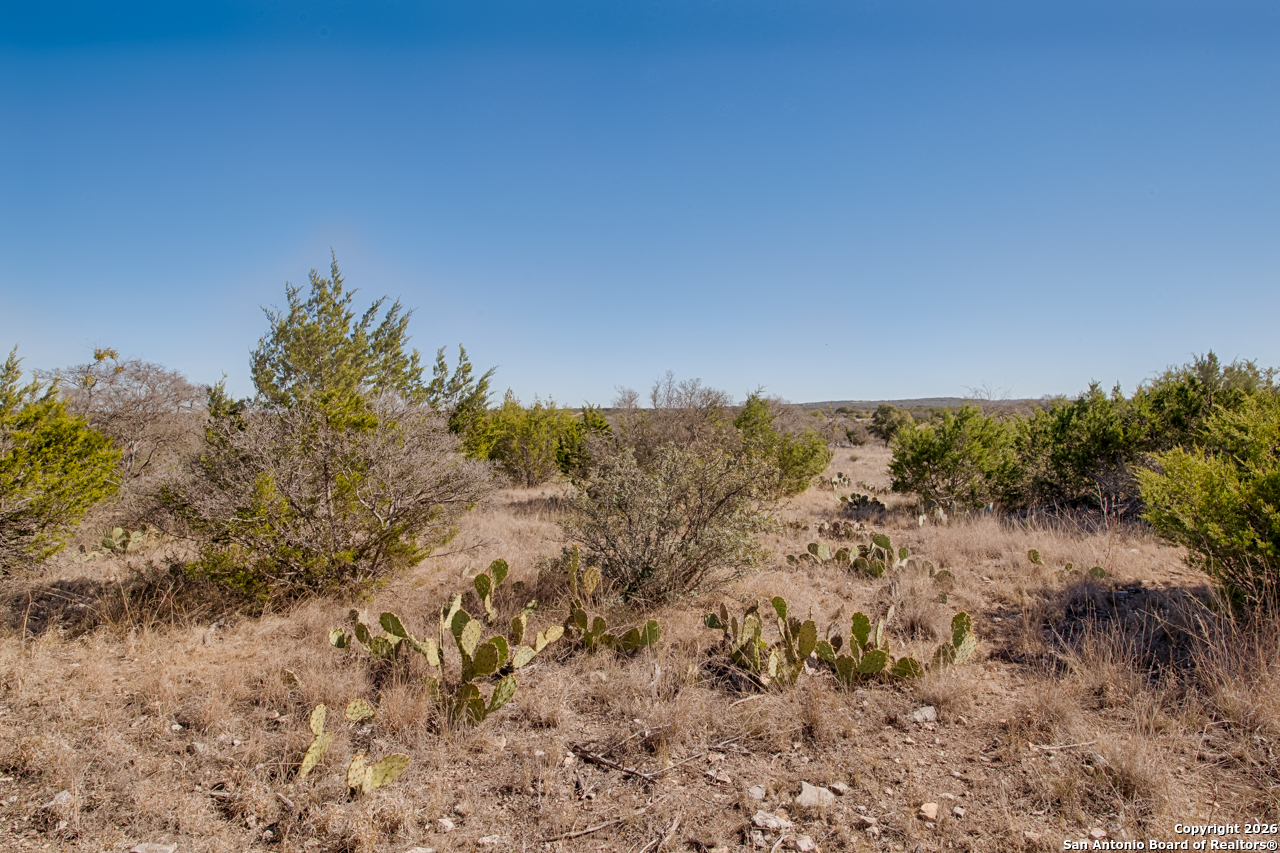 Lot 34 Spring Bluff Junction Junction, TX 76849 - Photo 7 of 16 a view of a yard with a tree