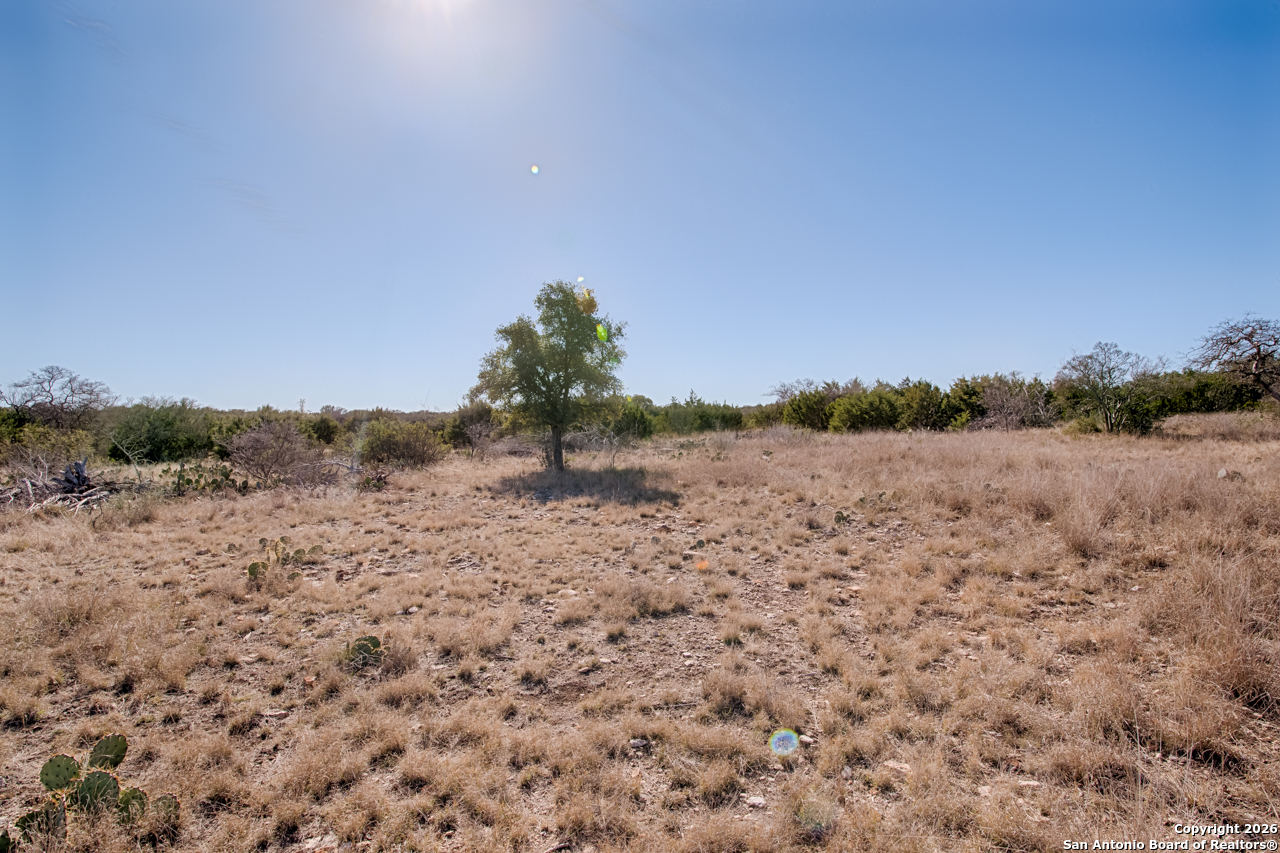 Lot 34 Spring Bluff Junction Junction, TX 76849 - Photo 9 of 16 a view of a dry yard with trees