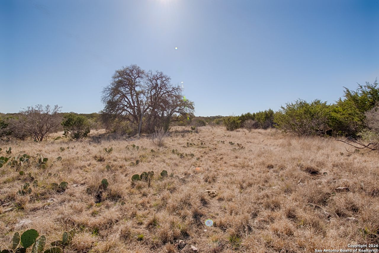 Lot 34 Spring Bluff Junction Junction, TX 76849 - Photo 10 of 16 a view of a dry yard with trees