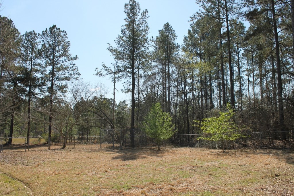 963 Whaley Pond Road Graniteville, SC 29829 - Photo 27 of 27 Gallery Image 27