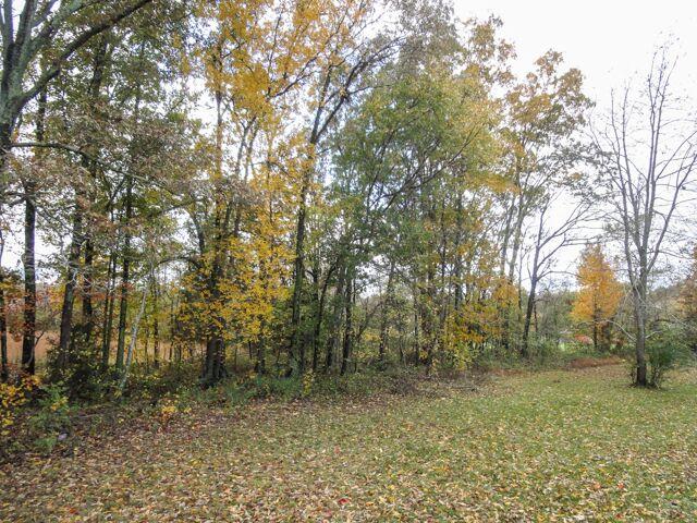 7351 Crow Cut Road Fairview, TN 37062 - Photo 17 of 17
