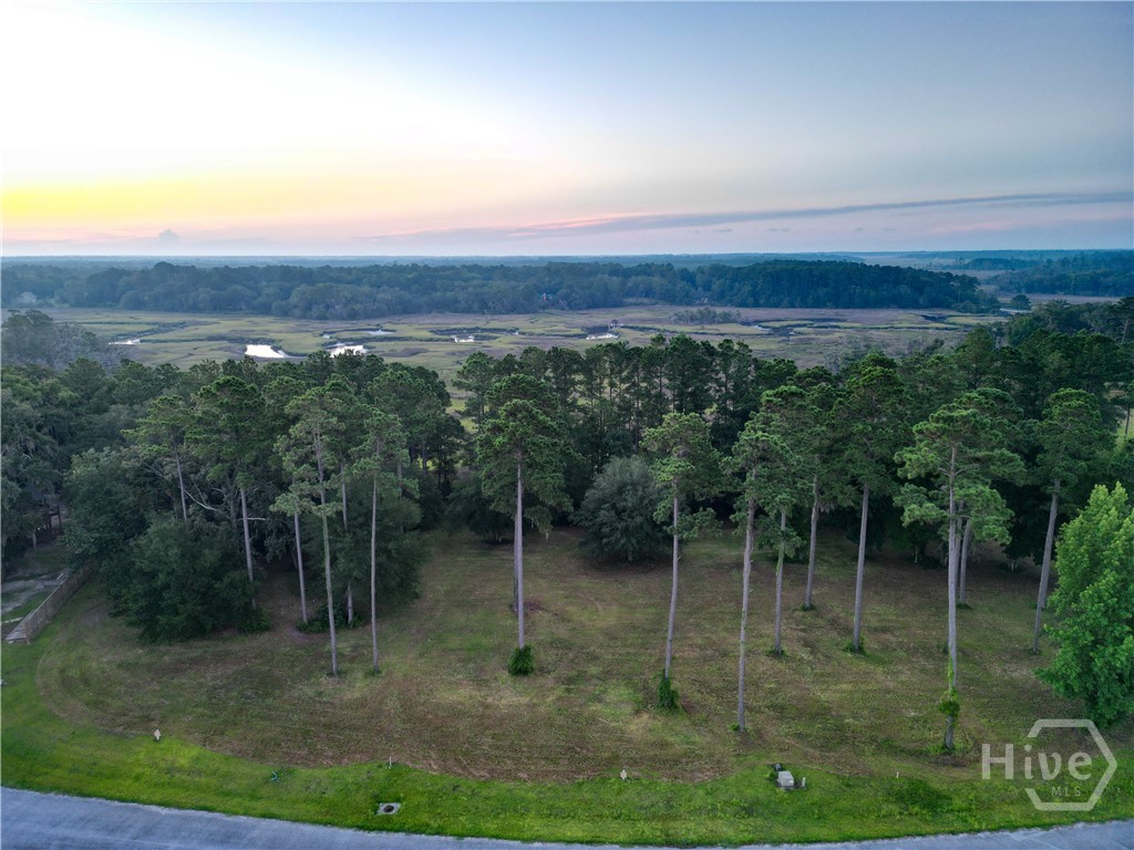 0 Northeast Baker Island Way, Unit LOT 11 Townsend, GA 31331 - Photo 12 of 29 Gallery Image 12