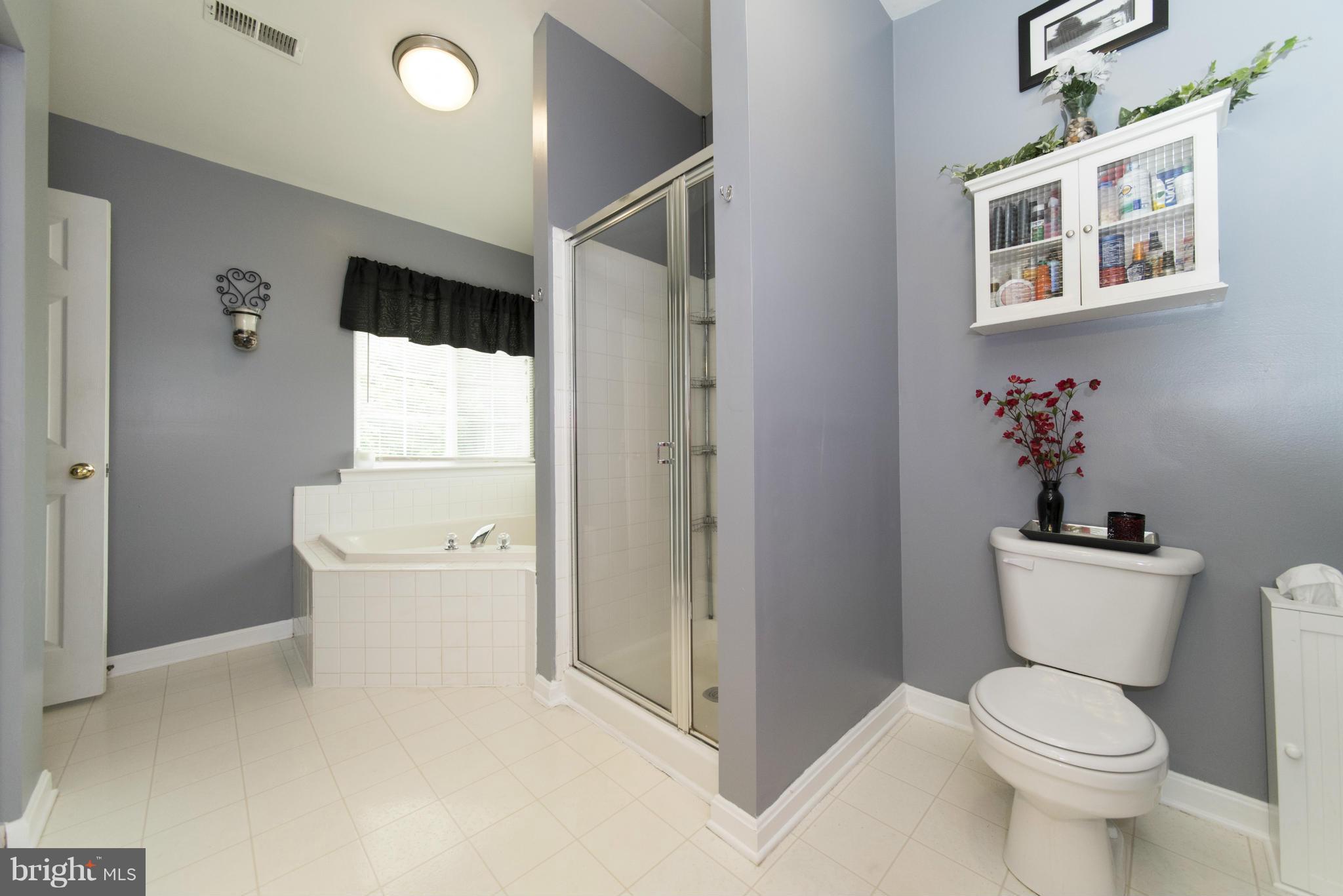 746 Shallow Ridge Court Abingdon, MD 21009 - Photo 17 of 30 Bath (Master)