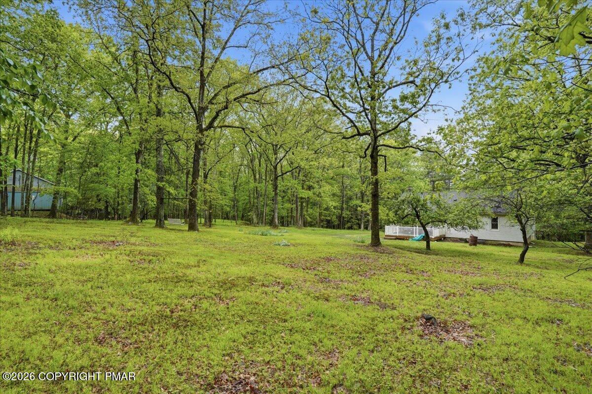 232 Garrity Road Hawley, PA 18428 - Photo 53 of 57 Backyard