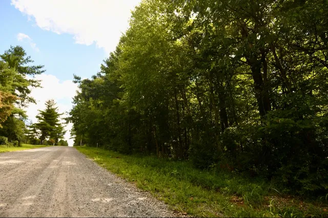 a view of outdoor space and yard