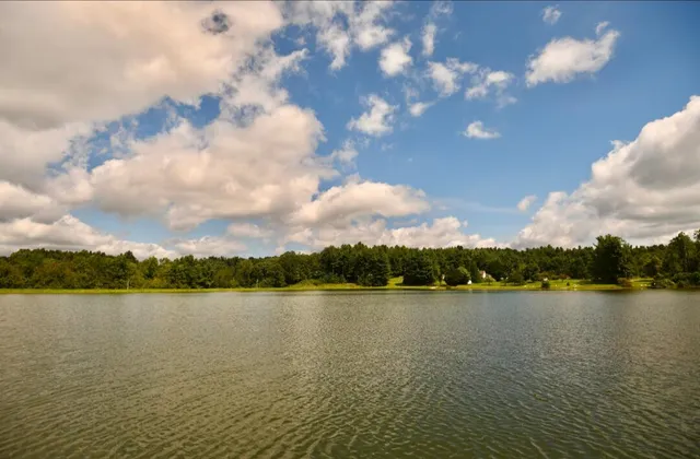 a view of a lake with houses in the back