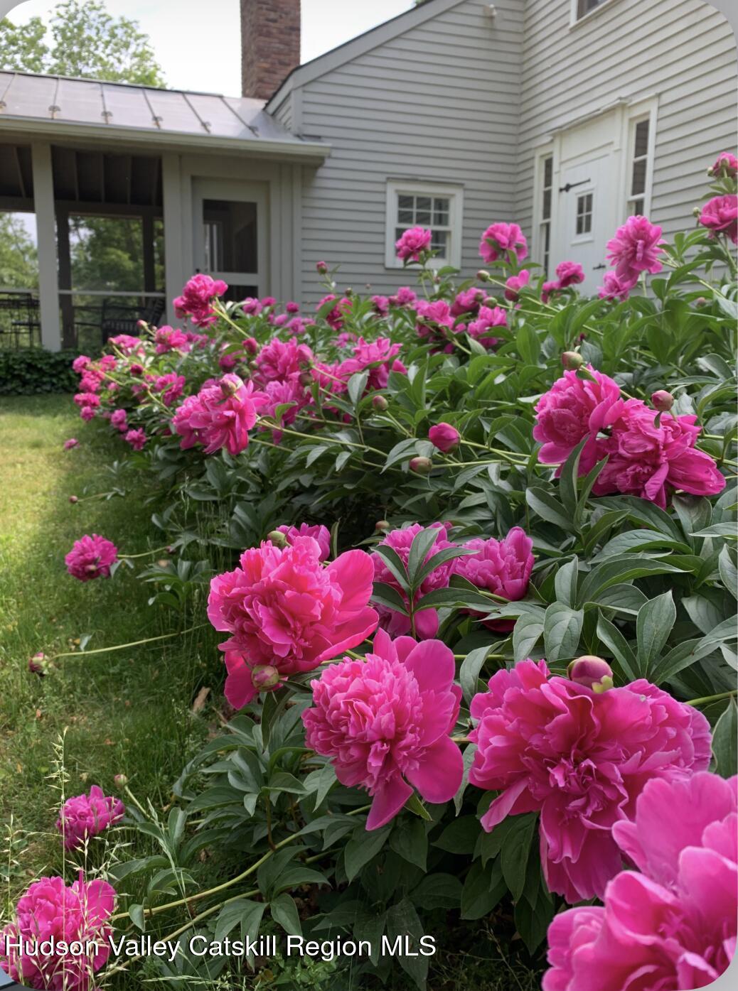 1193 Albany Post Road Gardiner, NY 12525 - Photo 39 of 45 WAP Flowers in back