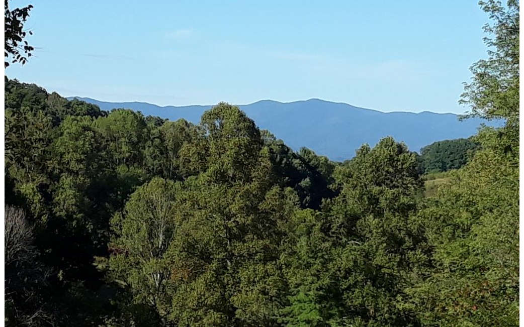33 Crowe Road Murphy, NC 28906 - Photo 1 of 1 a view of a city with a mountain in the background