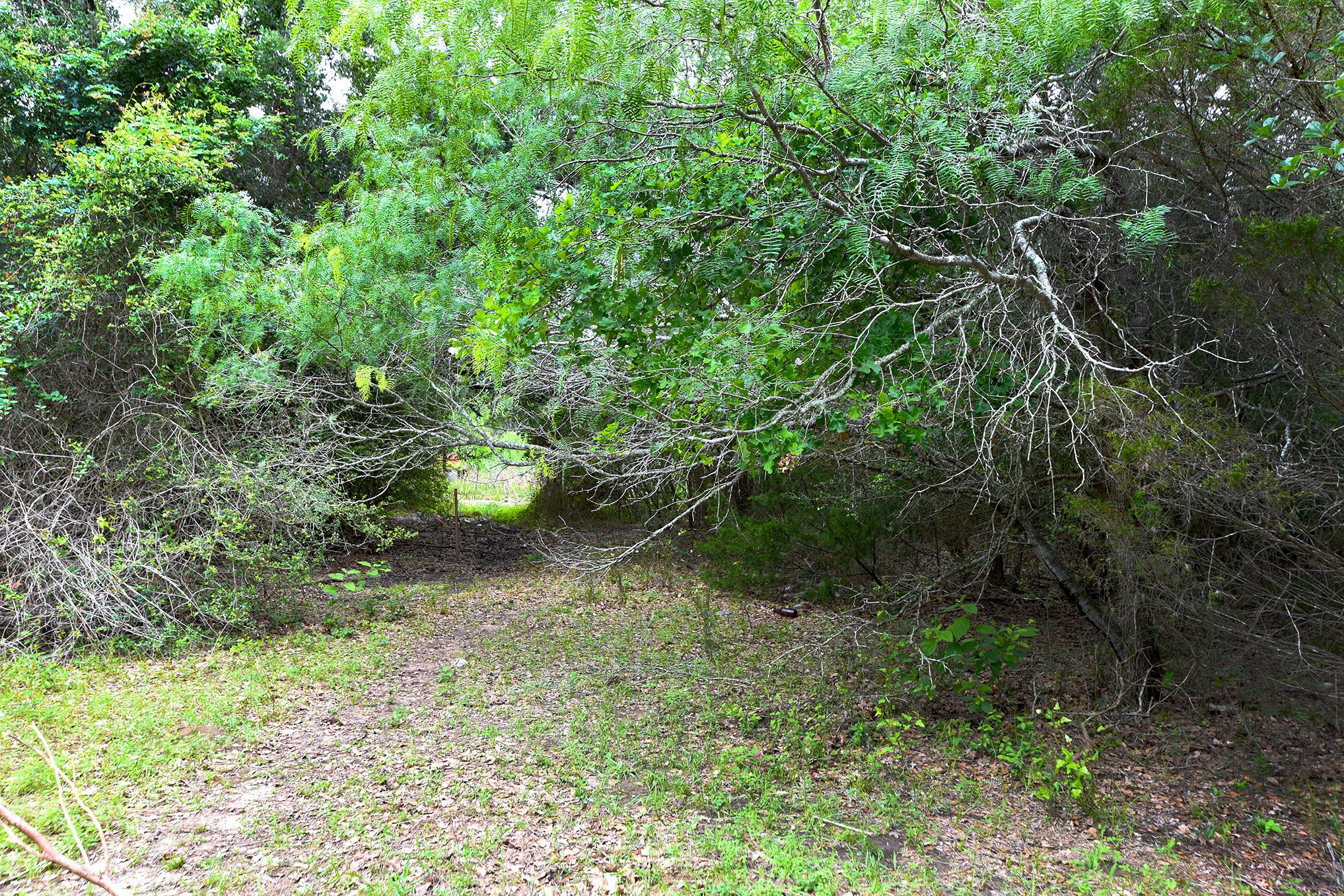 10 East Frontage Road Weimar, TX 78962 - Photo 10 of 30 a backyard of a house with lots of green space and chair