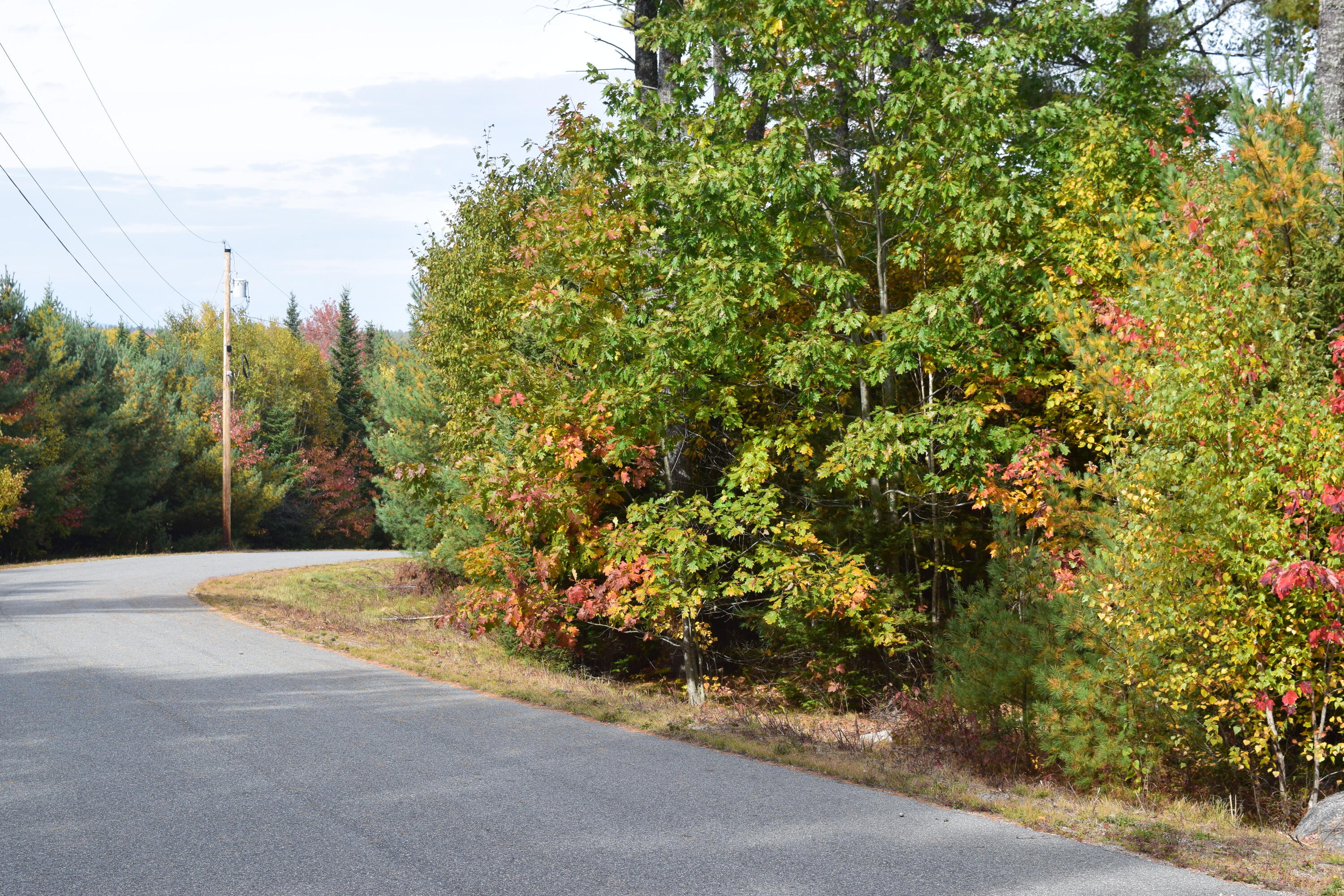 Lot 11 Surry Ridge Surry, ME 04684 - Photo 8 of 14 DSC_0533