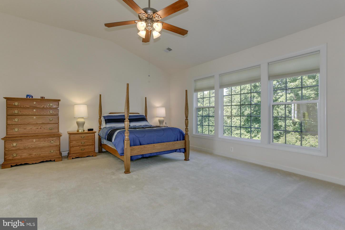 8744 Raleigh Mews Gainesville, VA 20155 - Photo 20 of 30 Bedroom (Master)