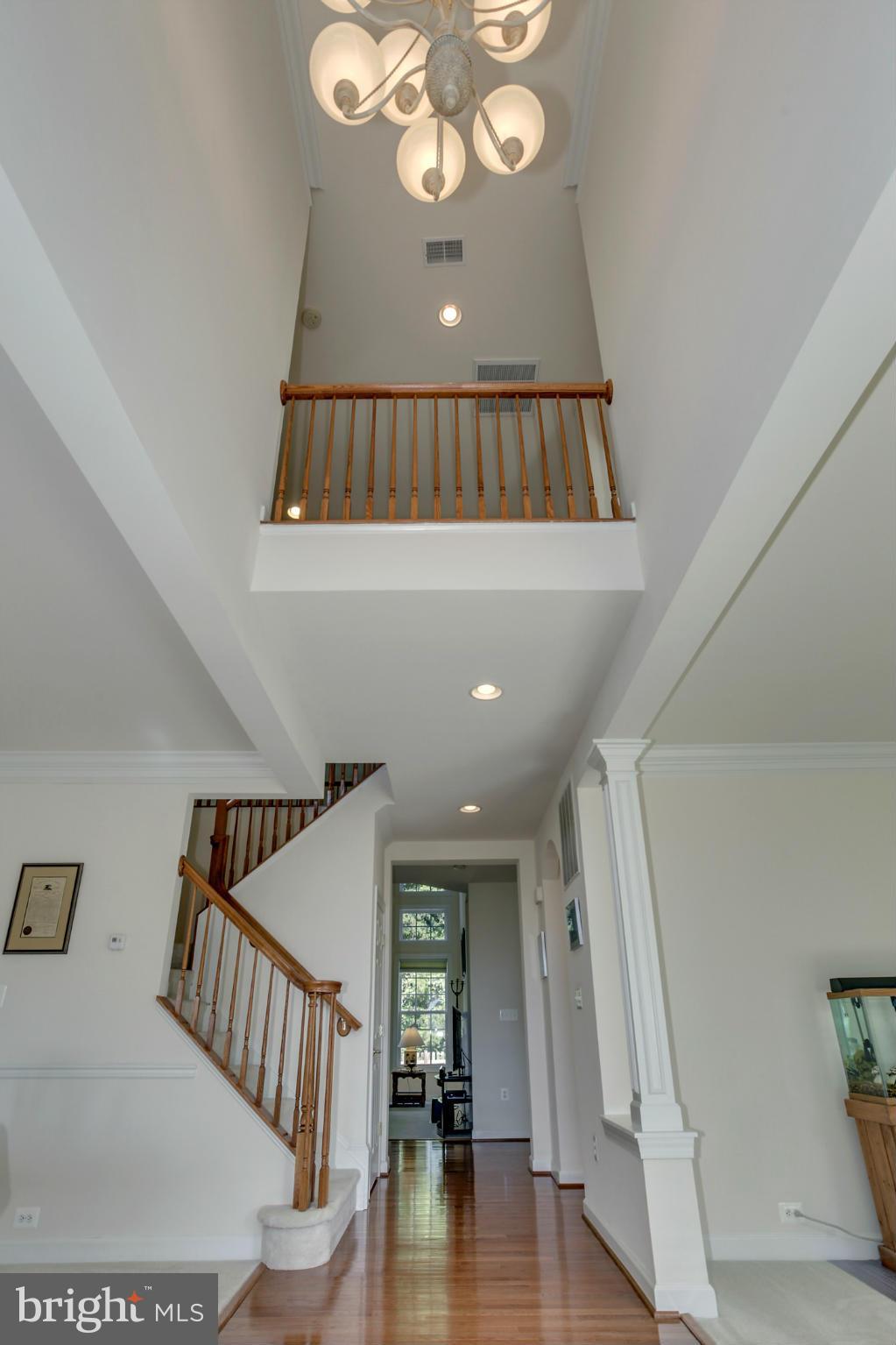 8744 Raleigh Mews Gainesville, VA 20155 - Photo 3 of 30 Interior (General)