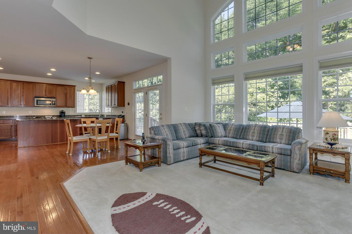 8744 Raleigh Mews Gainesville, VA 20155 - Photo 8 of 30 Family Room