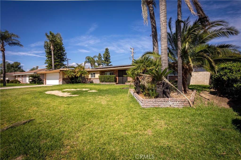 5669 Magnolia Avenue Rialto, CA 92377 - Photo 5 of 35 a view of a swimming pool with a yard