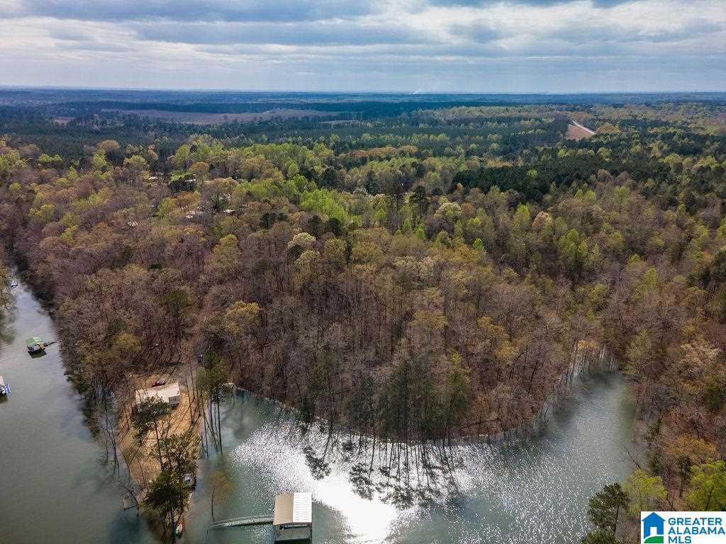 Smith Lake Dam Road Jasper, AL 35504 - Photo 4 of 15