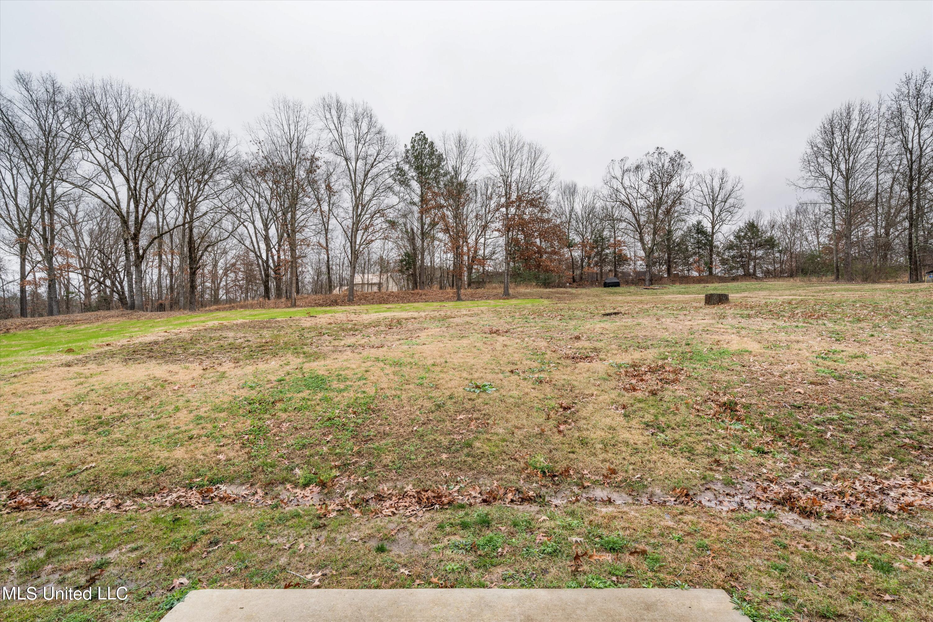 4704 Alexander Road Olive Branch, MS 38654 - Photo 24 of 25 25-Final (4704 Alexander St)-25