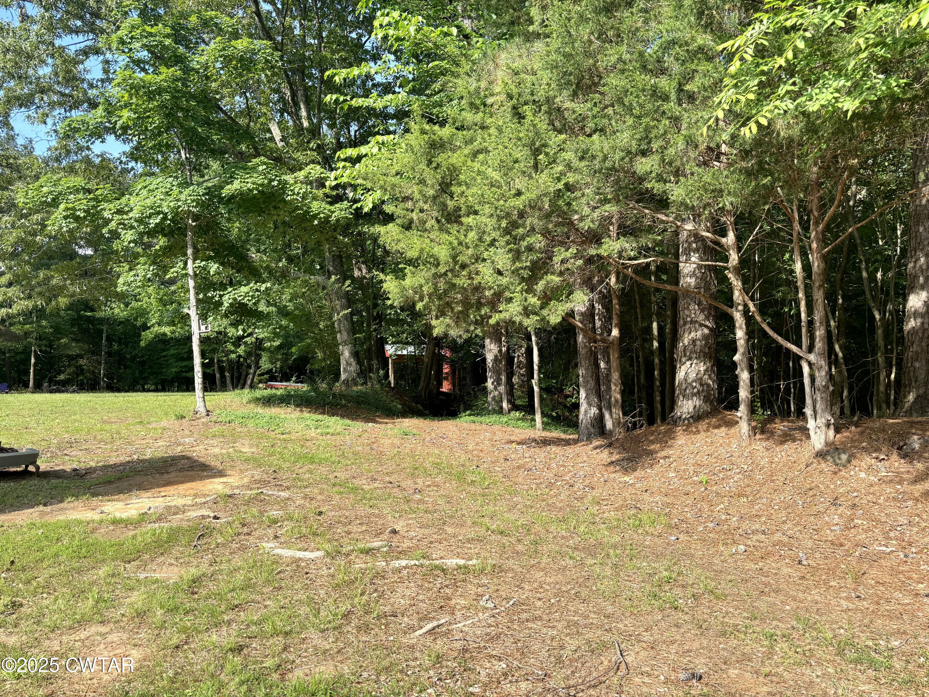 388 Bakers Chapel Road Medina, TN 38355 - Photo 33 of 39 335D8973-C4C2-4382-A3F9-675057E664A0_1_2