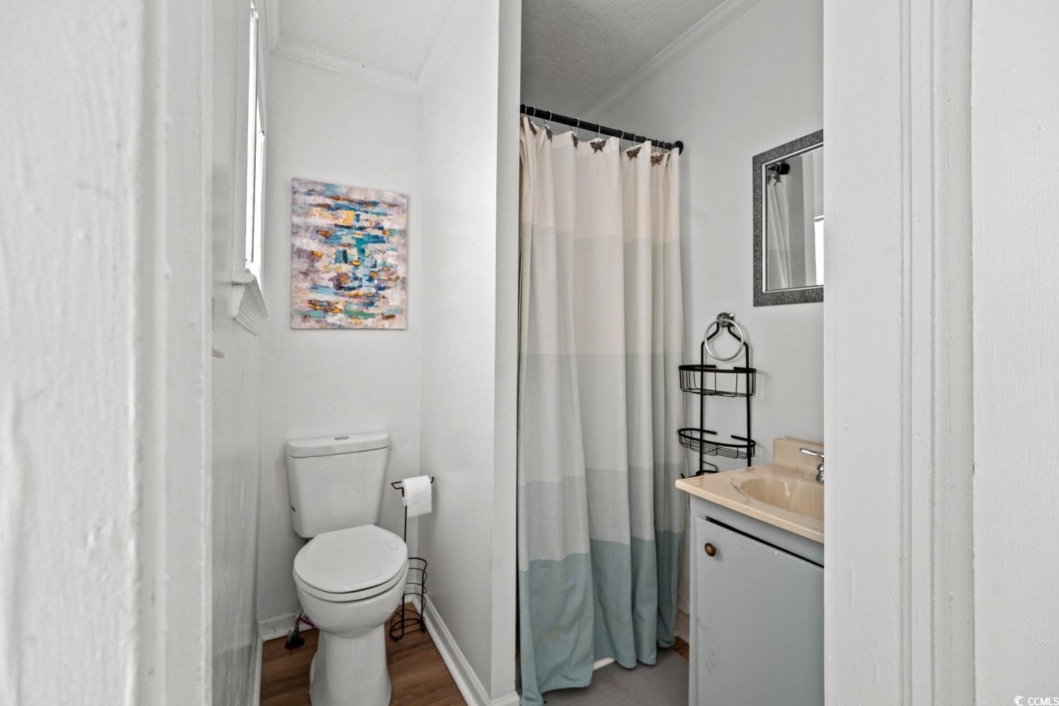 222 East Wine Street Mullins, SC 29574 - Photo 27 of 40 Bathroom with vanity, curtained shower, crown molding, wood finished floors, and a textured ceiling