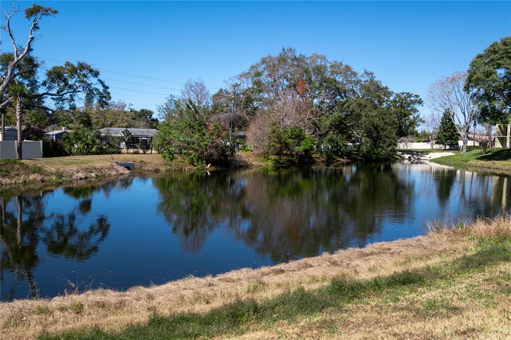 1430 Heather Ridge Boulevard, Unit 202 Dunedin, FL 34698 - Photo 19 of 21