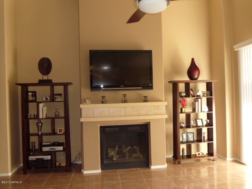 1084 North Martingale Road Gilbert, AZ 85234 - Photo 13 of 33 fireplace