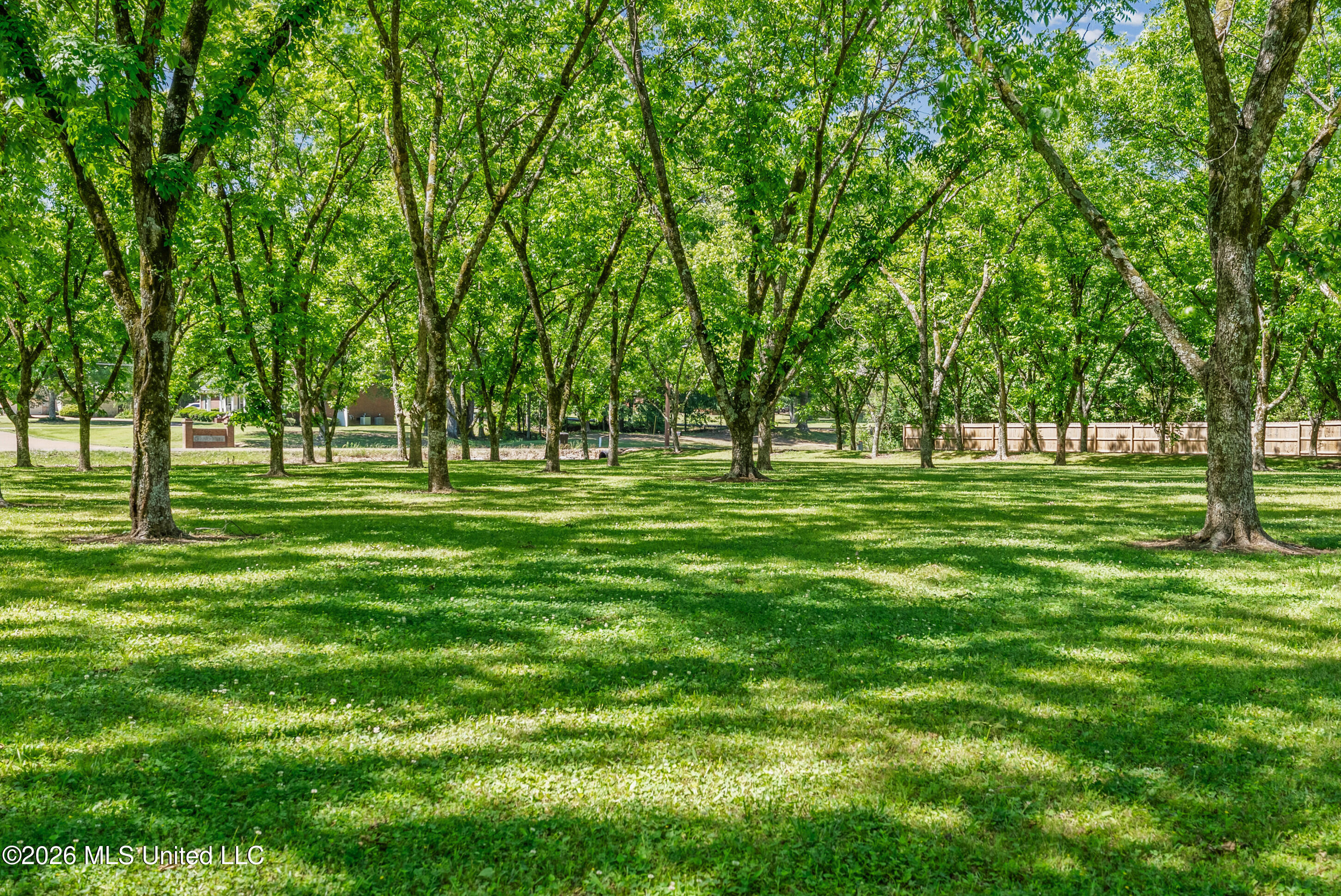 524 Merry Hill Ranch Road Senatobia, MS 38668 - Photo 38 of 55 38_dsc07655_print