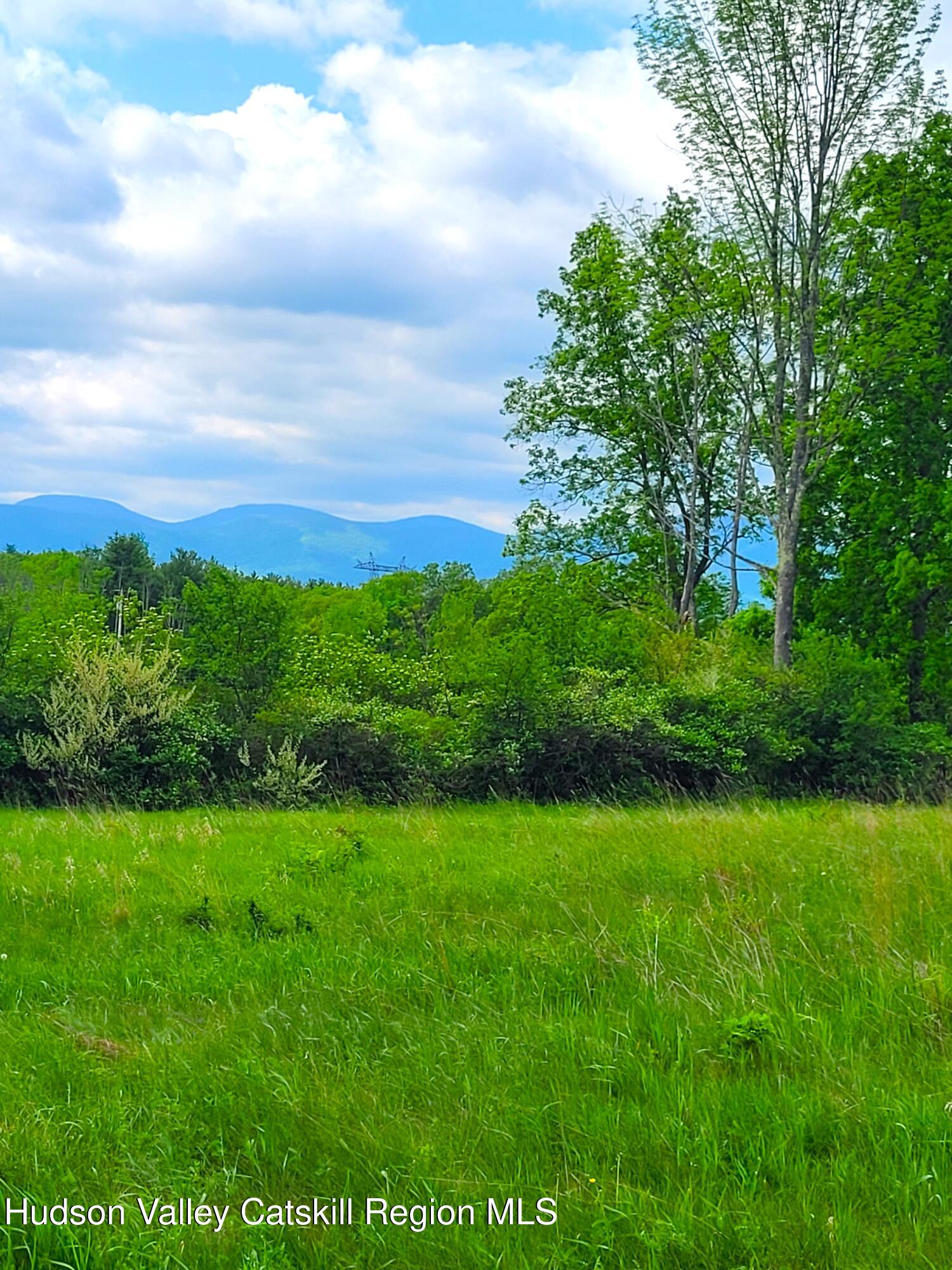 L13 Mackey Road Greenville, NY 12083 - Photo 5 of 13 20260520_095112