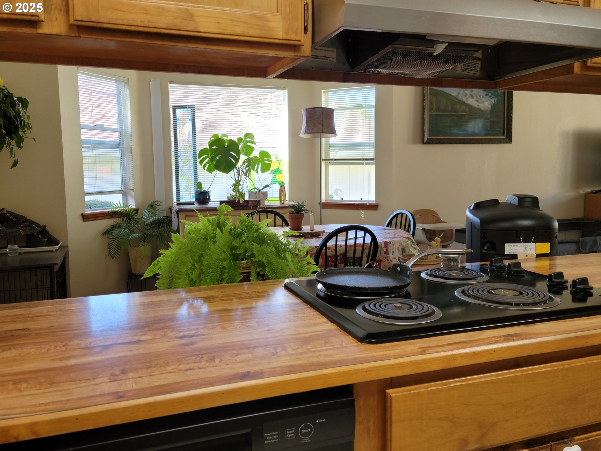1523 Northwest Thompson Way Grants Pass, OR 97526 - Photo 13 of 39 a kitchen with a stove and a white cabinets