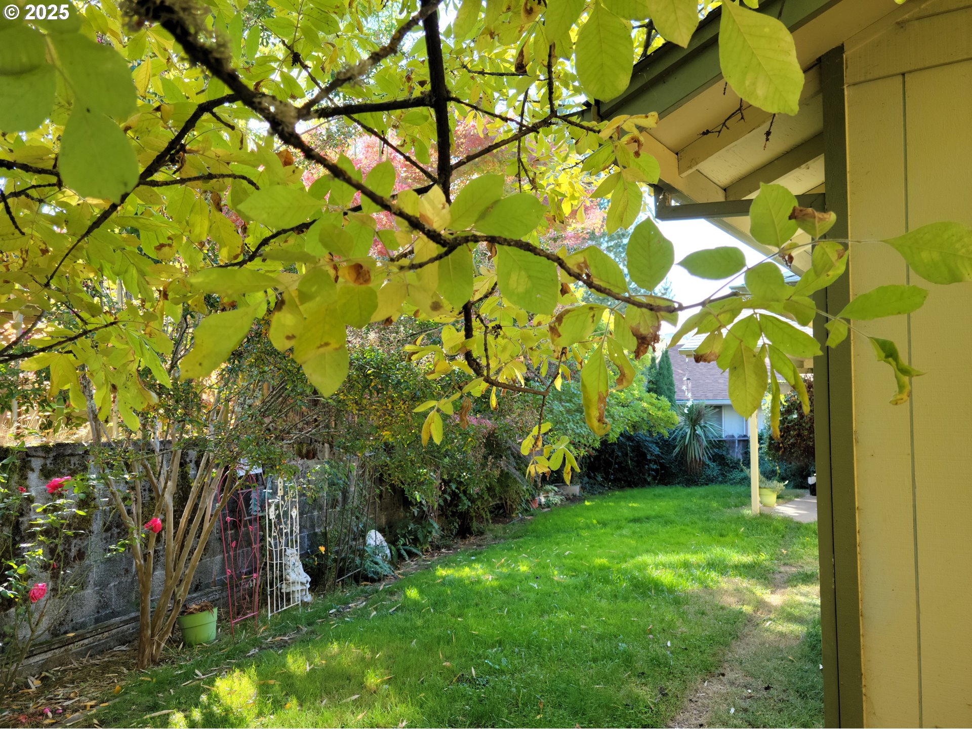 1523 Northwest Thompson Way Grants Pass, OR 97526 - Photo 39 of 39 a backyard of a house with plants and large tree