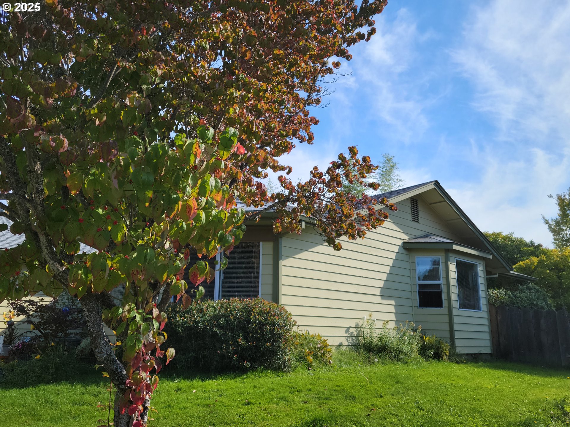 1523 Northwest Thompson Way Grants Pass, OR 97526 - Photo 4 of 39 a view of a house with a yard and a tree