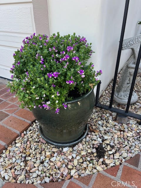 19 Chatham Manhattan Beach, CA 90266 - Photo 4 of 39 Flower Pot Entry Near Wrought Iron Gate