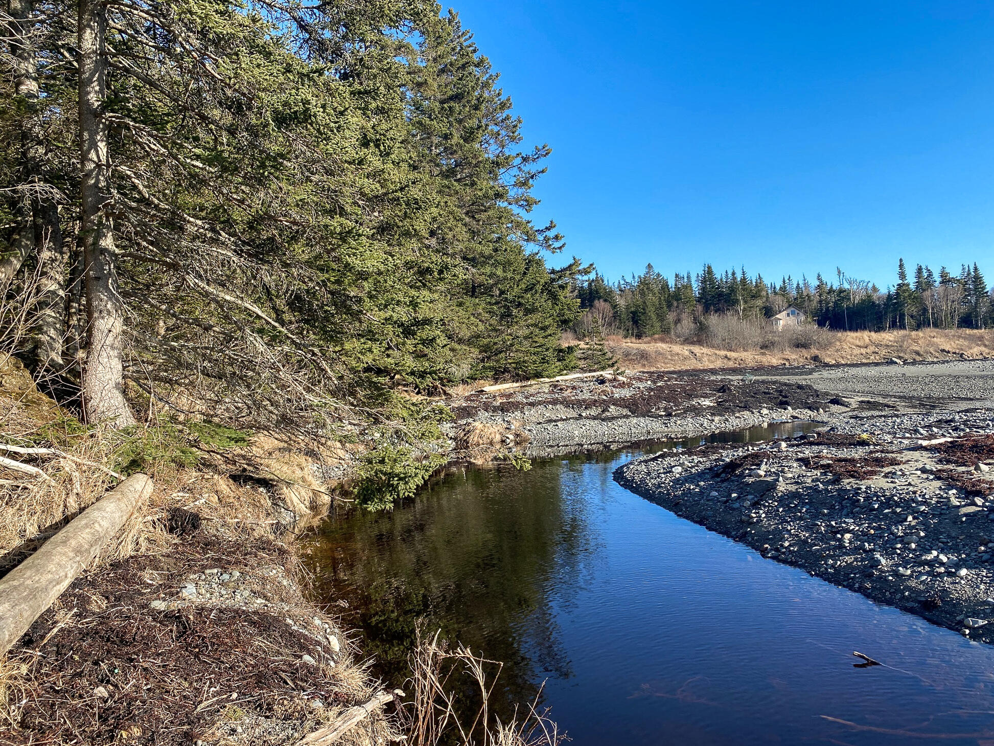 Lot 10-7 Boot Cove Road Lubec, ME 04652 - Photo 6 of 14 6. Shorefront looking east-2