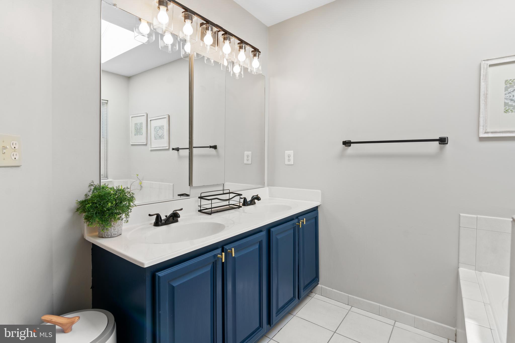 1010 Carbondale Way Crofton, MD 21114 - Photo 47 of 65 a bathroom with a sink and a mirror