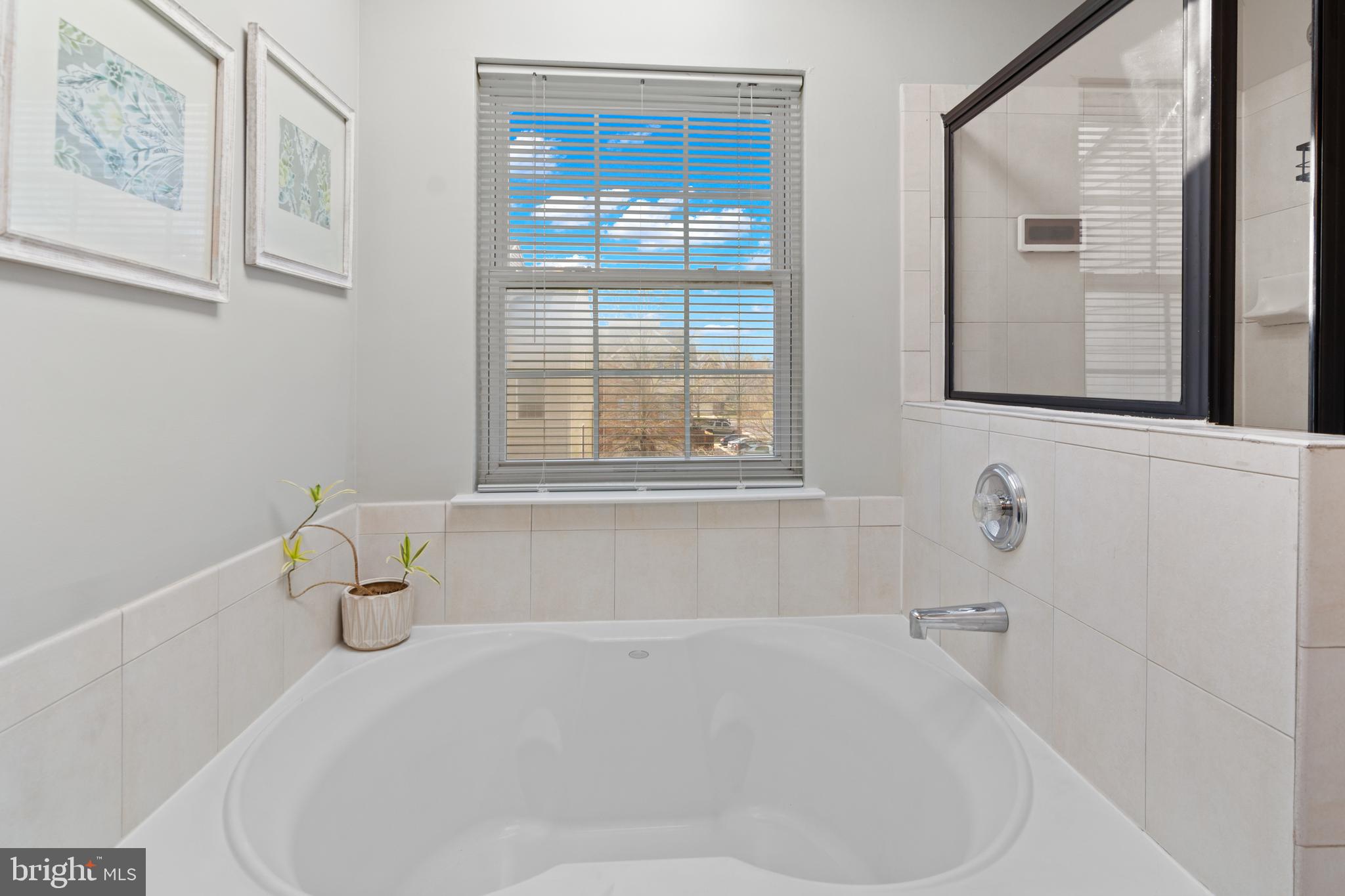 1010 Carbondale Way Crofton, MD 21114 - Photo 49 of 65 a white bath tub sitting next to a window