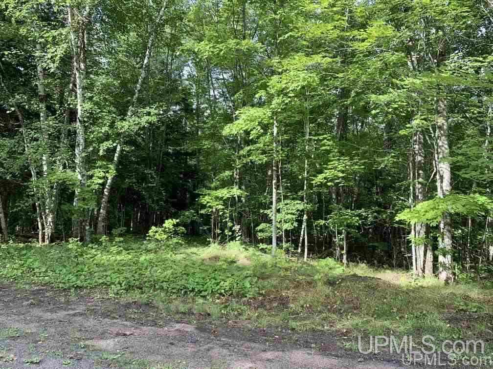 Lot 1 Bayview Road Lanse, MI 49946 - Photo 2 of 27