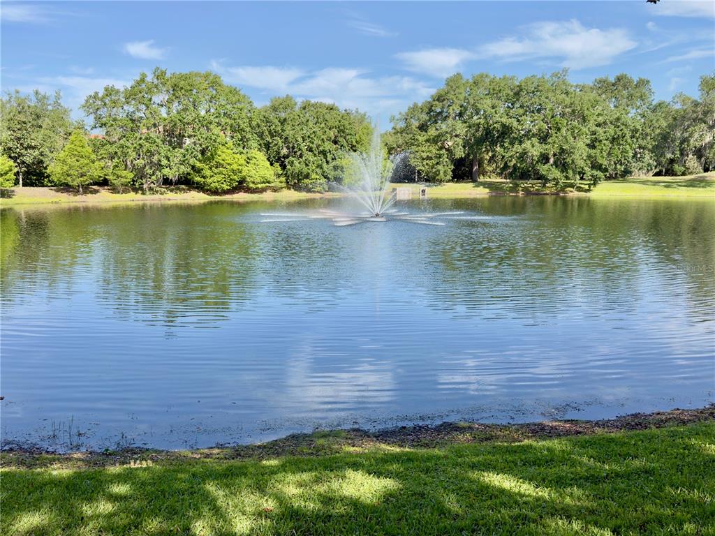2068 Roberts Point Drive Windermere, FL 34786 - Photo 79 of 81