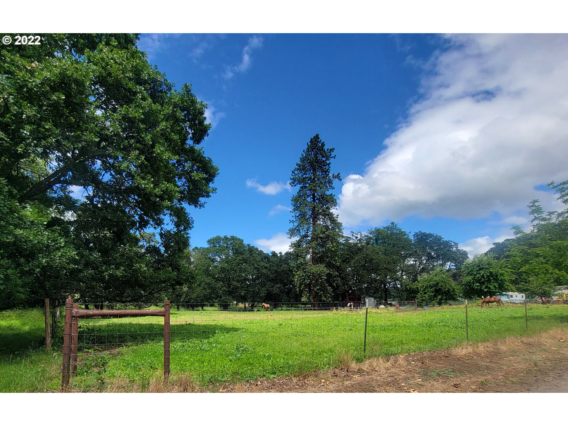 2021 Winston Section Road Winston, OR 97496 - Photo 17 of 31 Pasture