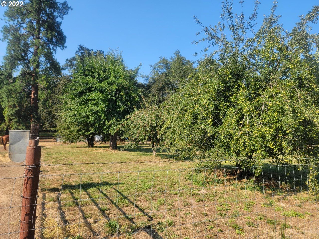 2021 Winston Section Road Winston, OR 97496 - Photo 23 of 31 Garden