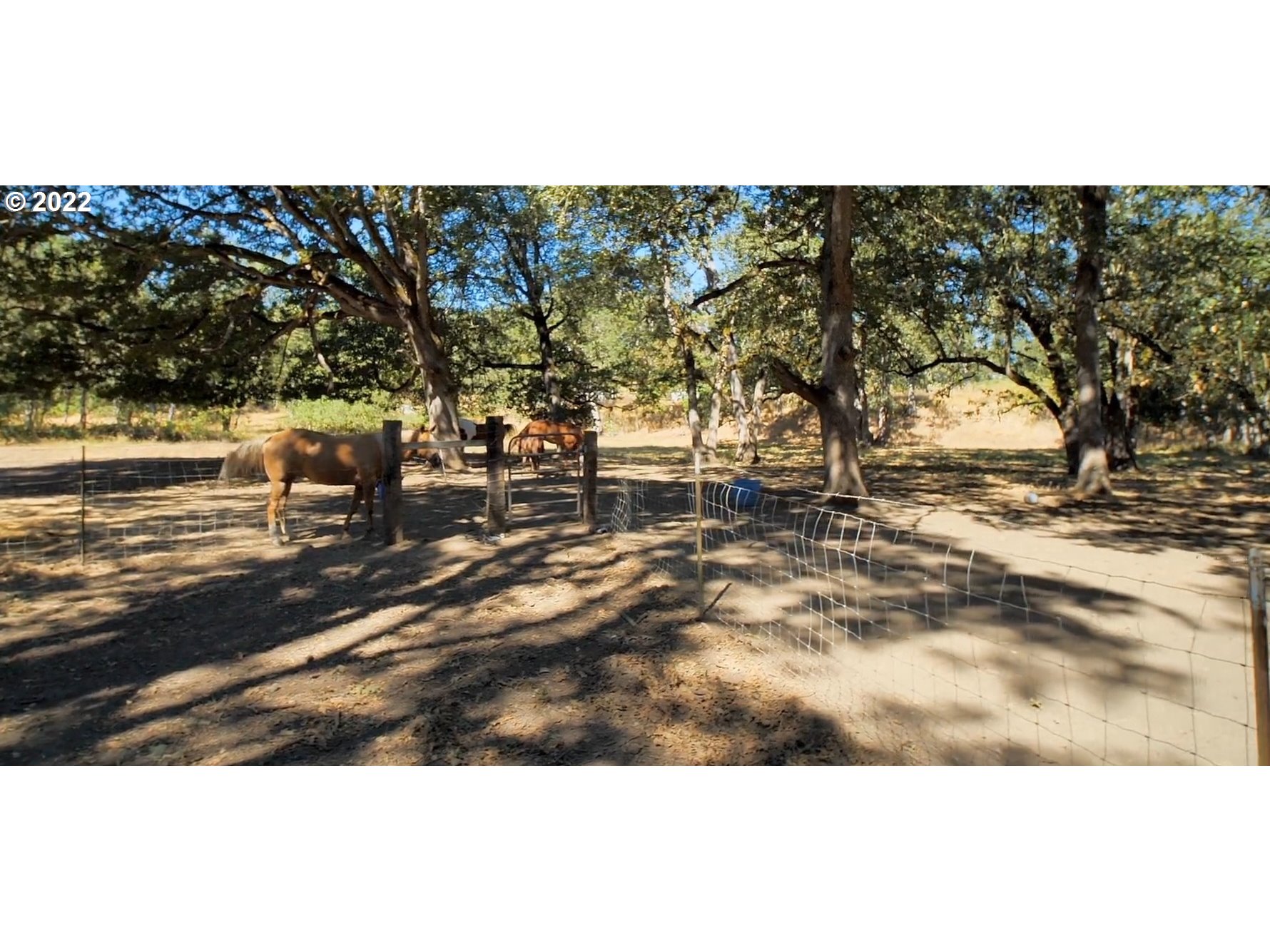 2021 Winston Section Road Winston, OR 97496 - Photo 25 of 31 Pasture