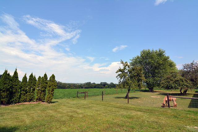 39W680 McDonald Road Elgin, IL 60124 - Photo 5 of 5