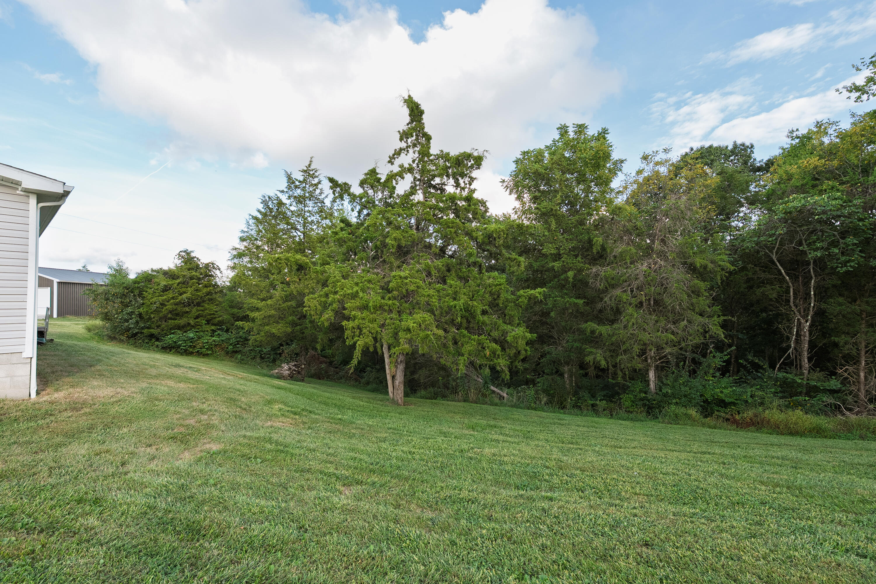 3838 Hogg Ridge Road Williamstown, KY 41097 - Photo 5 of 30 Hogg3838-5