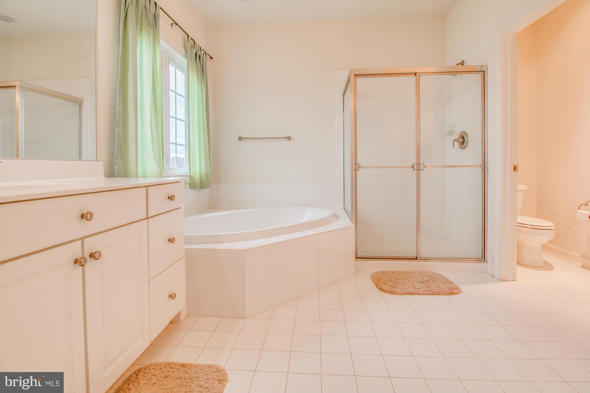 7329 Brink Road Laytonsville, MD 20882 - Photo 22 of 28 Bath (Master)