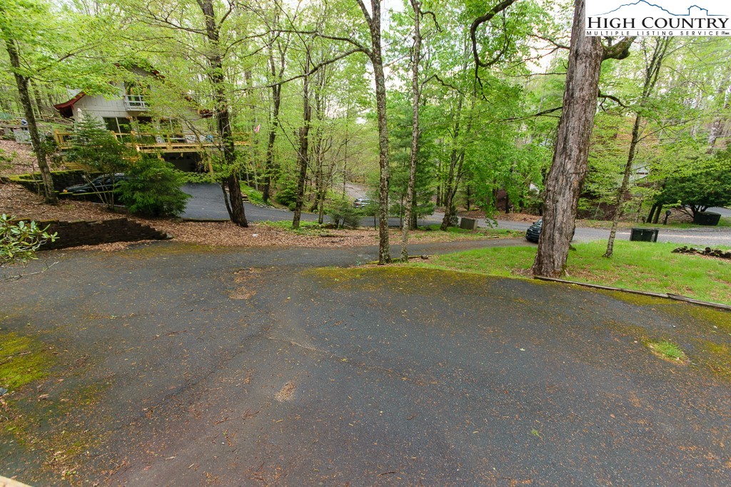 205 Spring Branch Road Beech Mountain, NC 28604 - Photo 35 of 46 a view of a house with a big yard and palm trees