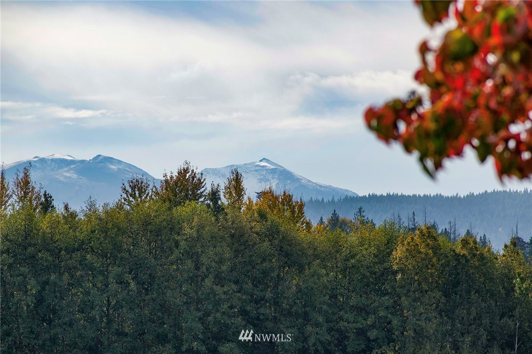 411 Spencer Road Sequim, WA 98382 - Photo 4 of 40 a view of a city