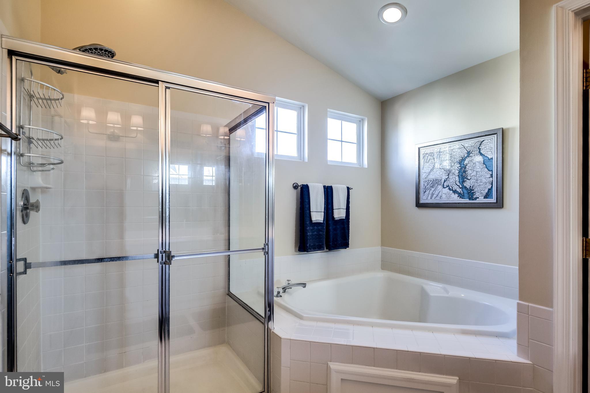 5928 Sandy Ridge Elkridge, MD 21075 - Photo 26 of 47 Separate soaking tub and shower