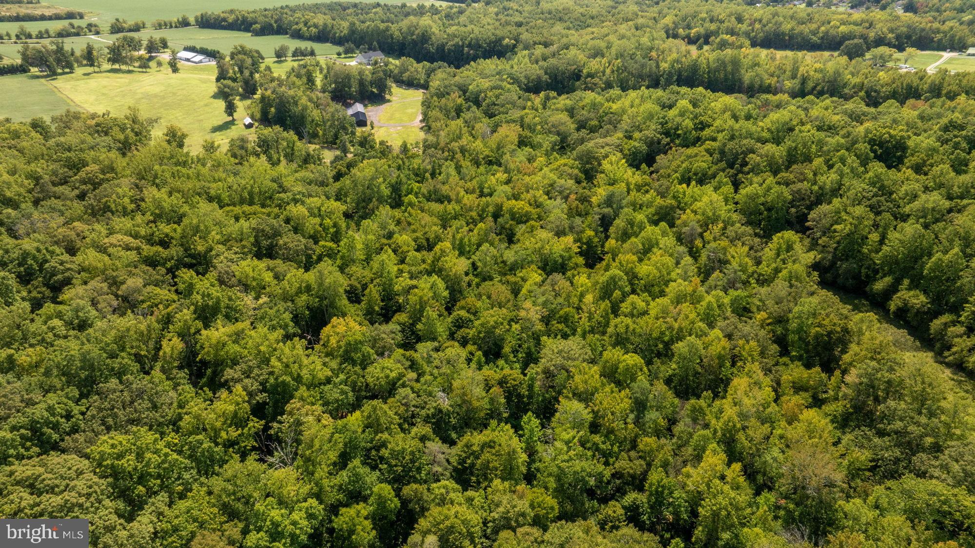 161 Forest Lane Road Fredericksburg, VA 22405 - Photo 79 of 99 Gallery Image 79