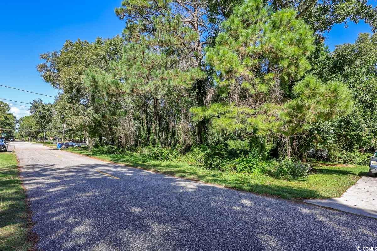 1001 Graham Avenue Myrtle Beach, SC 29577 - Photo 2 of 7 View of asphalt road